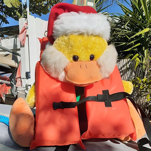 BigDuck-s